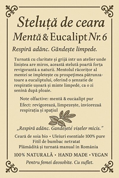 Cesiro Organic Mint And Eucalyptus Scented Candle, Handmade, 100g