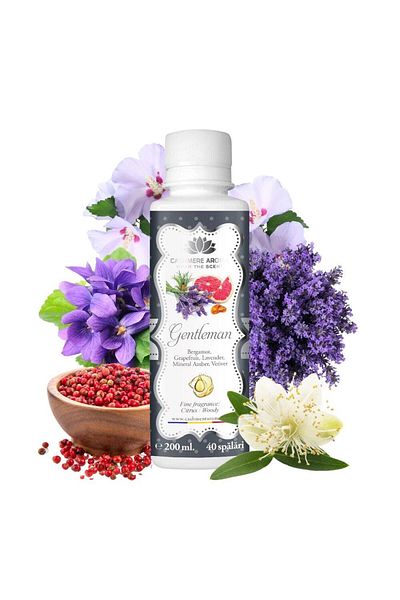 Cashmere Parfum de rufe GENTLEMAN cu arome marine, violete, mirt, cașmir, lemn de santal și mosc