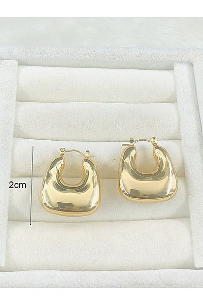 DS DİAMONDSHOP Steel Earrings Basket Model New Season Byçkp-20256186