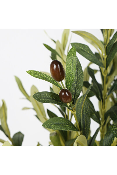 JASMIN CONCEPTS Saksılı Zeytin Ağacı 150cm