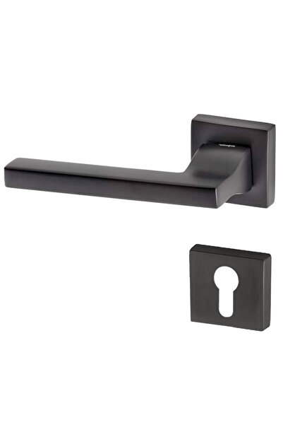 DOĞANLAR KAPI KOLLARI DOĞANLAR TURKUAZ ANTRASİT ROZETLİ KAPI KOLU ROZETLİ YAL...