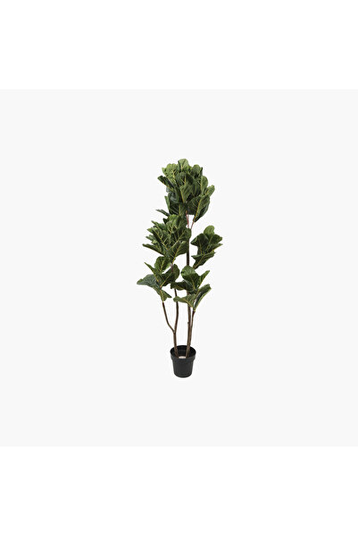 JASMIN CONCEPTS Saksılı 3 Kollu Fiddle Leaf Ağaç 60X60X150cm