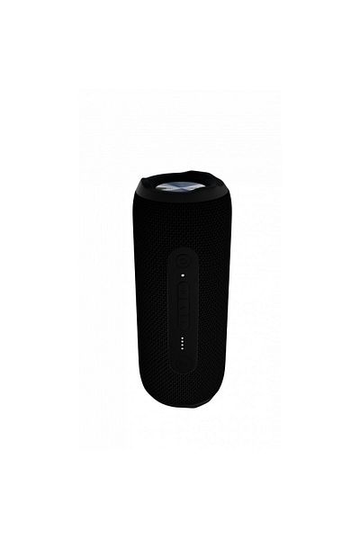 Evelatus Portable speaker Evelatus EBS02 M, 10W, IPX7, Bluetooth 5.0, AUX, external battery function, black