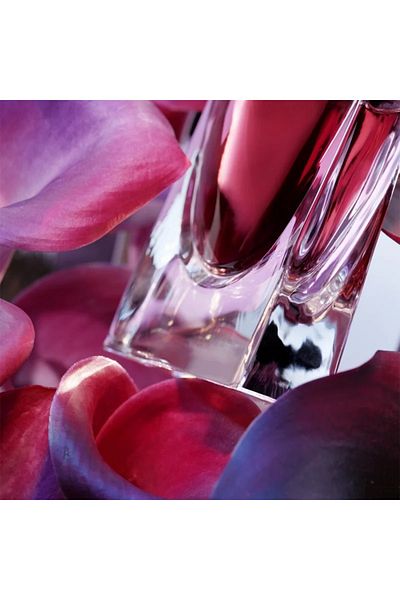 Lancome La Vie Est Belle Elixir, Eau De Parfum, Women, 50 ml