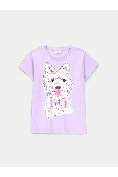 Coccodrillo Tricou pentru fete ZC4143204VGA violet