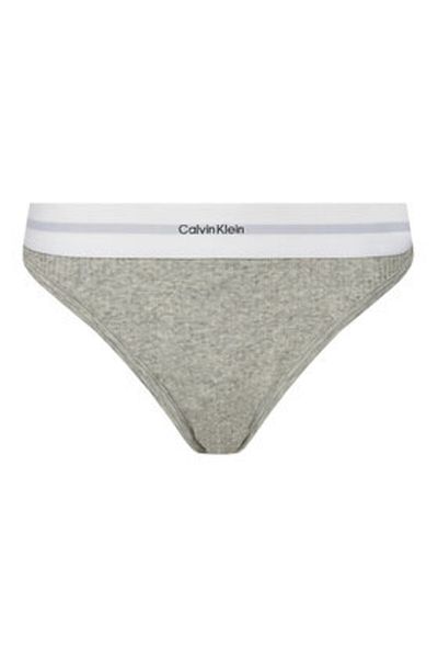Calvin Klein calvin klein underwear Women's Classic Briefs LV00QF8022 Gray