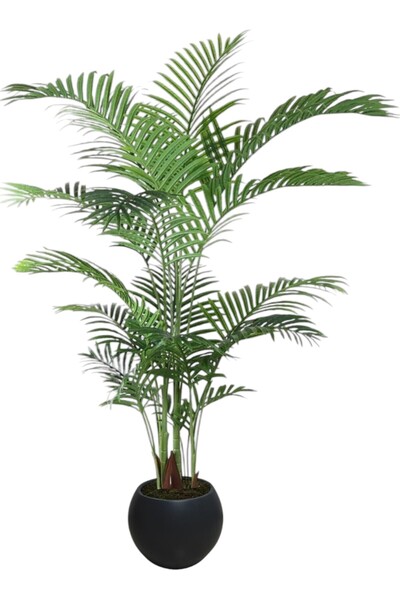 ERHAN FLOWERS ÇİÇEK & DEKORASYON Yapay Ağaç AREKA 150cm küre plastık saksı