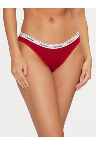 Calvin Klein underwear Women's Classic Briefs 000QD5044E Red