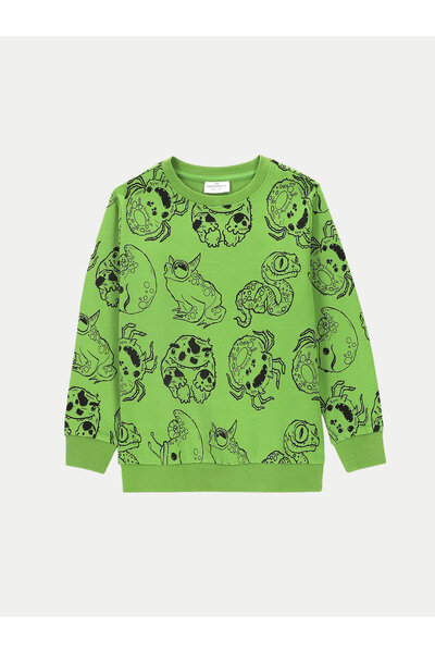 Coccodrillo Hanorac pentru băieți ZC4132101GBK Verde