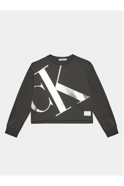 Calvin Klein Jeans Girl Sweatshirt IG0IG02482 Gray