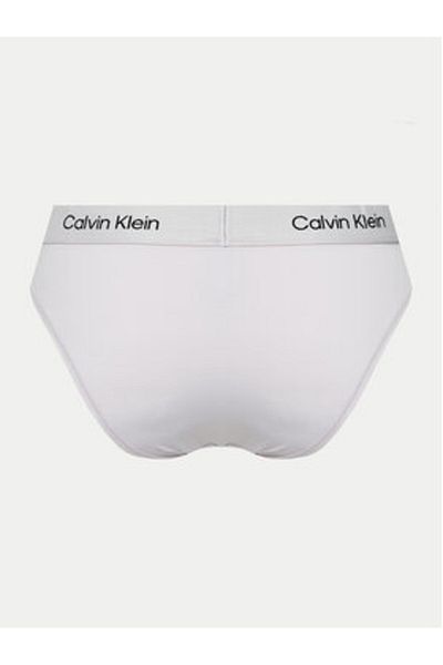 Calvin Klein Lenjerie intimă pentru femei, chiloți clasici 000QF7249E violet