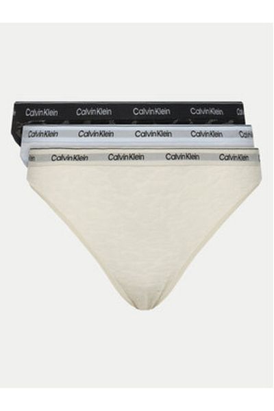 Calvin Klein underwear Women's Set of 3 pairs of classic briefs 000QD5069E Colorful