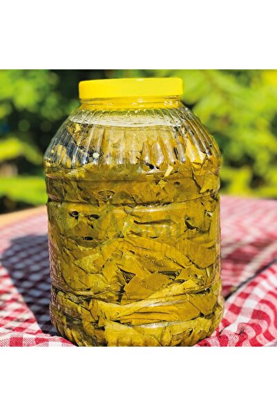 Natural 5 KG TAZE SALAMURA ASMA YAPRAĞI