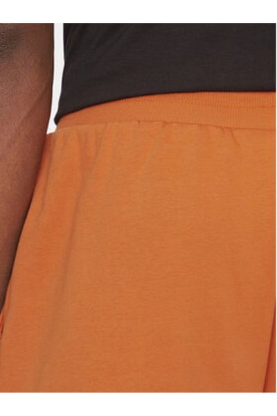 THE NORTH FACE Men's Sports Shorts NF0A8C1J6D21 Brown