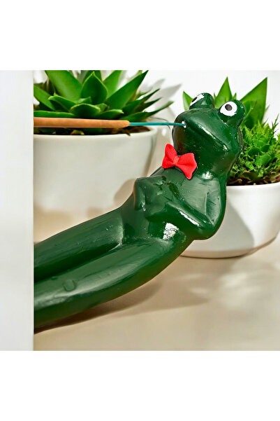 Lara Karma Kurbağa Temalı Dekoratif Tütsülük ( Tütsü Hediyeli)