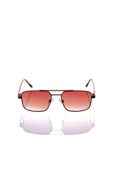 AR COLLECTİON Plus Men Metal Sunglasses Ar312 C53