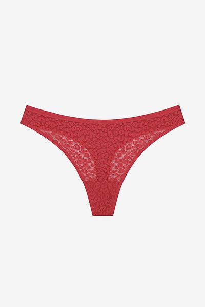 Penti Lace Lace 3-teiliges mehrfarbiges Tanga-Höschen