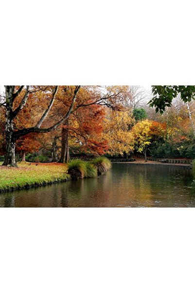 ve Tablou Canvas, Toamna in parc, Frunze ruginii, 80 x 50 cm, Multicolor