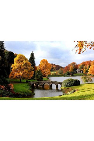 ve Tablou Canvas, Armonie, 80 x 50 cm, Rama lemn, Multicolor