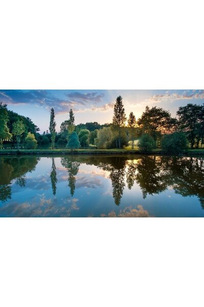 ve Tablou Canvas, Apus de soare in parc, 80 x 50 cm, Rama lemn, Multicolor