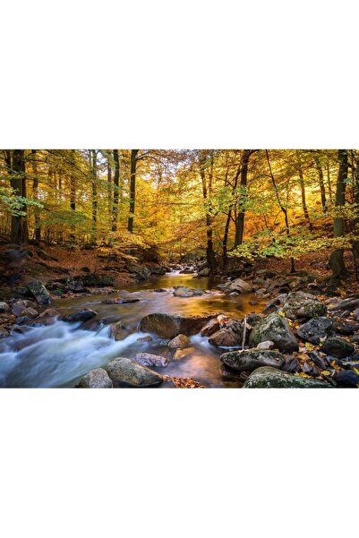 ve Tablou Canvas, Peisaj de toamna, 80 x 50 cm, Rama lemn, Multicolor