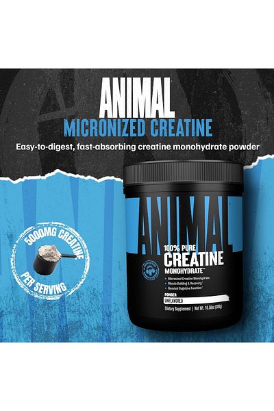 UNIVERSAL ANİMAL Universal Animal Creatine(Kreatin) Monohydrate(Monohydrate) 300Gr - 60 Servings (American Version)