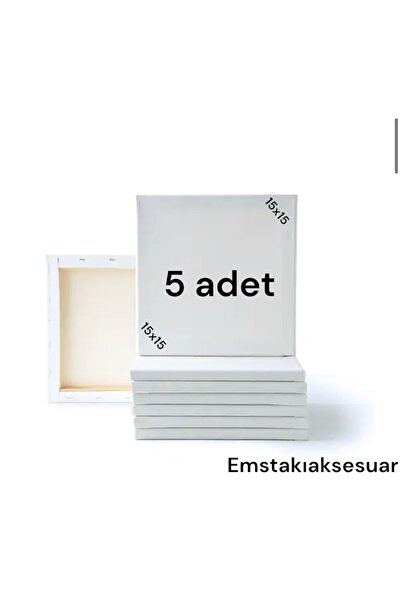 Ems Takı Aksesuar 5 adet arkadan zımbalı 15x15 resim tuvali