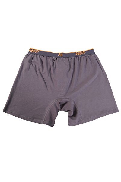 BlackHorn Large Size Boxer Oversized Lycra Boxer Gray