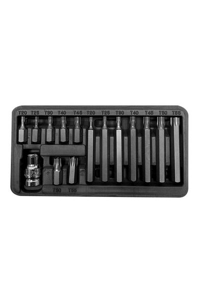 PROLINE Torx Bit Set With Hole Cr-Va S2 - 15P.