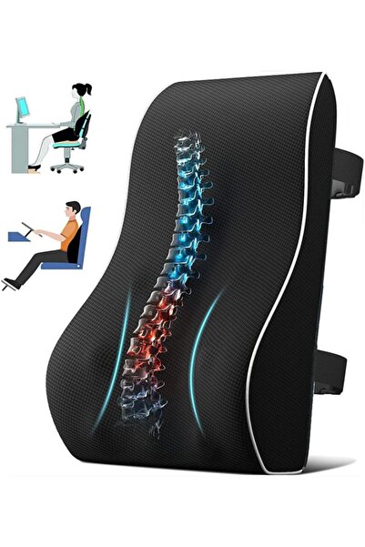 Arabest Memory Foam Lumbar Support Pillow,Breathable 3D Mesh Cover,Reversible...