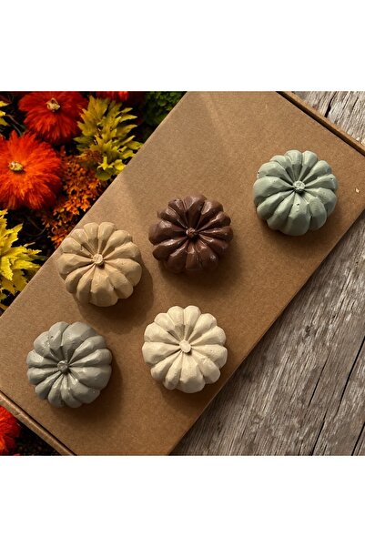 Roses BALKABAĞI 5'Lİ SET ÖZEL KUTUSUNDA BETON OBJE