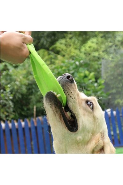 shop Silicone Frisbee Dog Toy