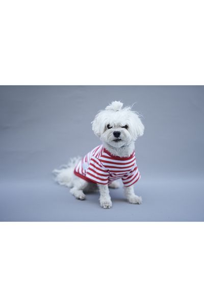 Oli and Lui Red White Striped Dog Tshirt