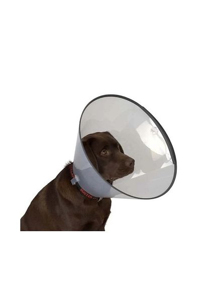 Dermovet Transparent Collar 5 cm