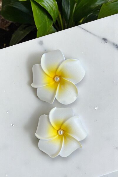 MUTENA ΜΟΝΤΕΛΟ ΛΟΤΟΣ ΜΕ ΠΕΡΛΕΣ ΚΙΤΡΙΝΟ ΛΕΥΚΟ ΧΡΩΜΑ ΠΕΝΤΕ ΚΛΙΠ ΚΛΙΠ 2 ΤΕΜΑΧΙΑ