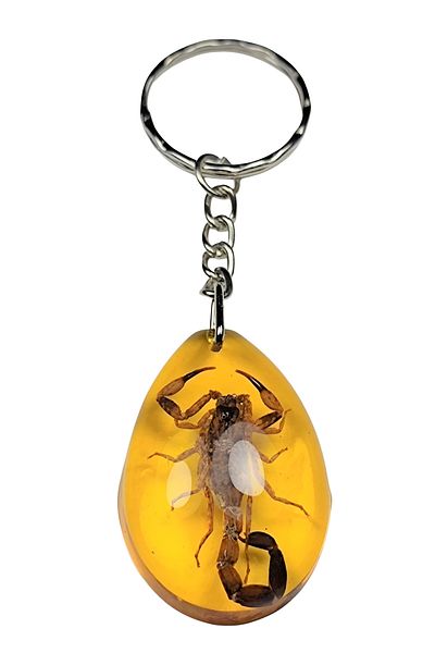 efmues Scorpion Keychain Epoxy Scorpion Fossil Keychain Transparent Keychain