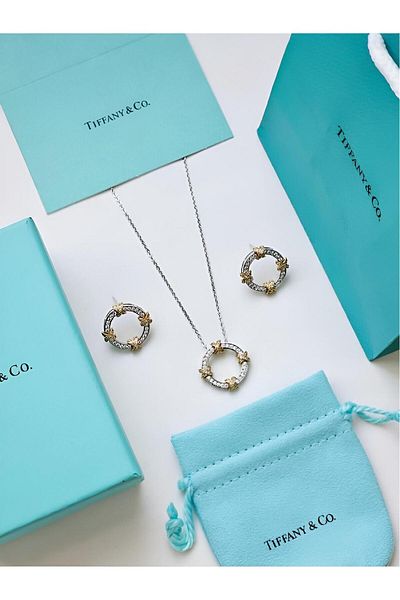 Fa A distinctive two-piece set consisting of a necklace and earrings