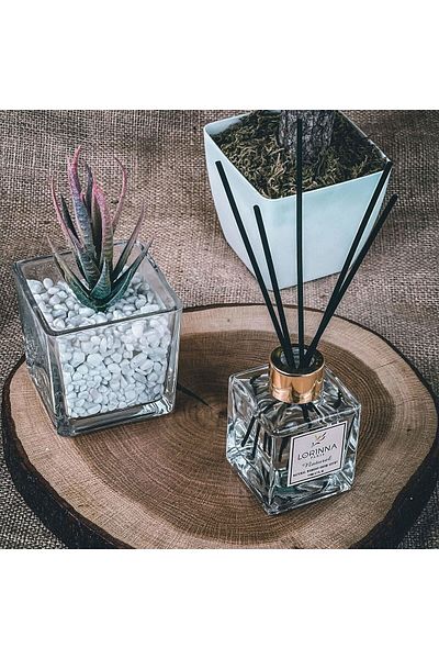 Lorinna Natural Stick Room Fragrance - Transparent - 110 ml