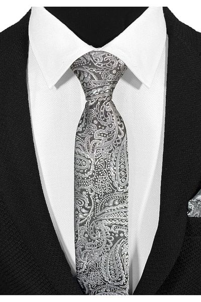 BLC Basic Line Co. Silver Gray Paisley Microfiber Tie on Anthracite Ground - 7 cm Modern Cut