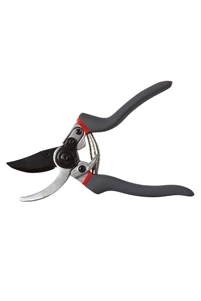 PROLINE Live Scissors With Blades / 19Mm