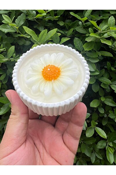 aralmini El Yapımı Papatya Mum Ve Mumluk Saksı