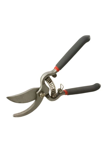 PROLINE Forged Live Scissors With Spring / 25Mm