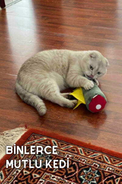 pawdaz Matatabi - Dino (40X12CM) Bol Sesli, Bol Kokulu Kedi Oyuncağı