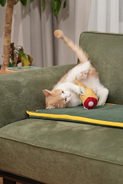 pawdaz Matatabi - Golden Fish (24x11cm) Cat Toy with Lots of Sounds and Lots of Scents