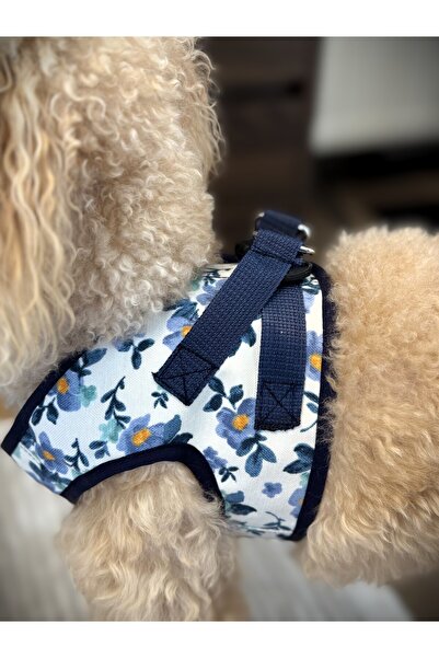 WoofTailor Köpek Göğüs Tasması