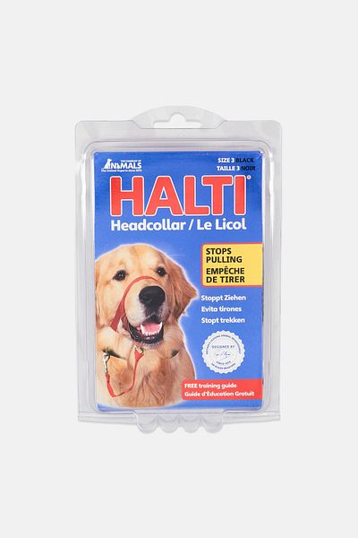 Company Of Animals Halti Head Collar, Black