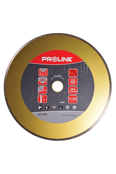 PROLINE Disc Diamantat Continuu Super Dur 180Mm