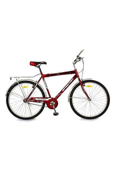 rexa 26 Inch Cool Mountain Bike, Cheap Price, Steel Frame, Disc Brakes
