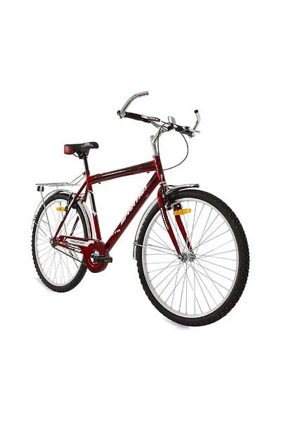 rexa 26 Inch Cool Mountain Bike, Cheap Price, Steel Frame, Disc Brakes