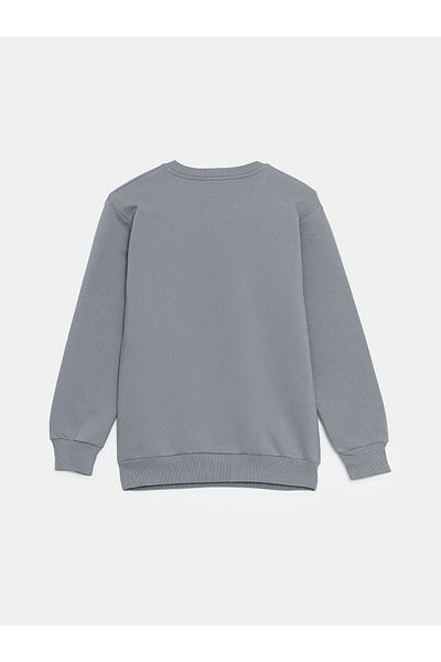 LC Waikiki Crew Neck Printed Boys' Sweatshirt